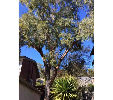 Stump Pro - Hobart, TAS