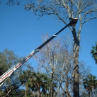 Specialty Tree Care And Landscaping LLC