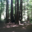Forest of Nisene Marks State Park - Places Of Interest