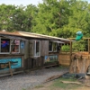 Champagne's Cajun Swamp Tours gallery