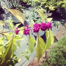 Down Home Garden Center - Garden Centers