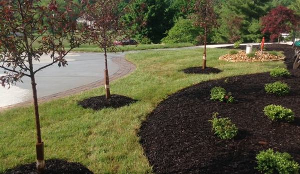 Hackmann Lawn & Landscape, LLC - Saint Charles, MO