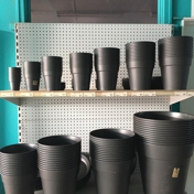 Gallery Image Number 3