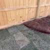 Ram99 Lawncare gallery
