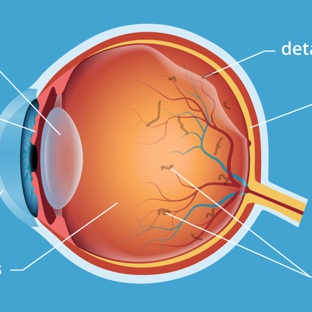 Eye Surgicentre The - Erina, NSW