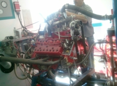 Gallery Image Number 7