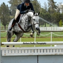 Parkwood Equestrian Ctr - Stables