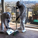 Dry Kings Restoration - Water Damage Restoration