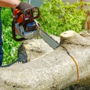 Willow Tree Services - Tree Service