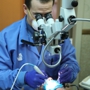 Lindemann Root Canal Specialists