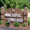 Animal Hospital At Ethan's Green Inc gallery