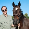 Wagner Horse Doc gallery