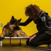 Precision Dog Training Academy gallery