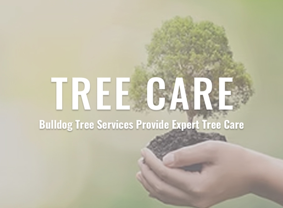 Bulldog Trees - Maroota, NSW. Tree Care