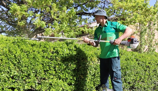 Whip It Lawns & Gardens - Holt, ACT