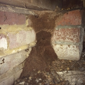 Gallery Image Number 4