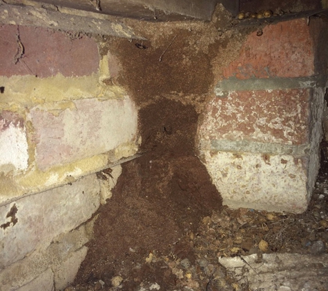 Evicta Pest Management