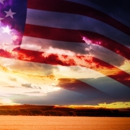 Alliance Bail Bond Services - Bail Bonds