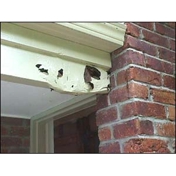 Gallery Image Number 3