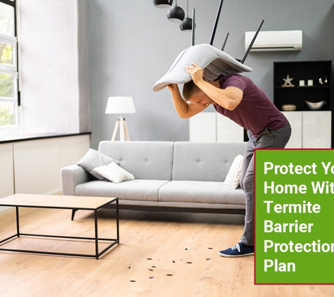 BP Homecare Pest Control - North Perth, WA. Protect Your Home With A Termite Barrier Protection Plan