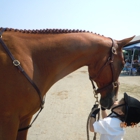 County Line Stables