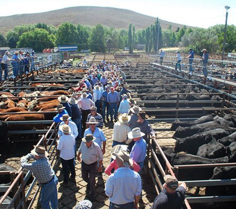 Monaro Livestock & Property Pty Ltd