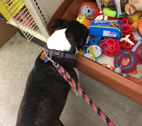 PetSmart - Cedar Park, TX