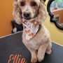 Dog Life Salon and Resort LLC