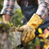 E&R Tree Service gallery