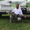 Palmetto Wildlife Extractors gallery