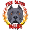 Fire Blood Bullies gallery
