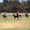 Will Rogers Polo Club gallery