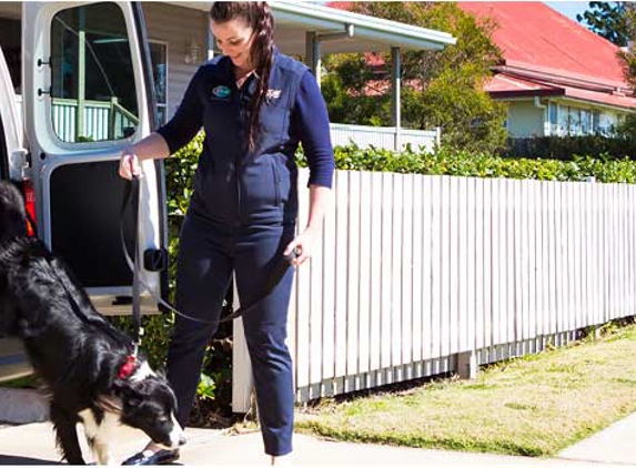 Warwick Veterinary Clinic - Warwick, QLD