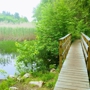 Ross Pond State Park