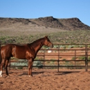 Lava Bluffs Equestrian Center - Stables