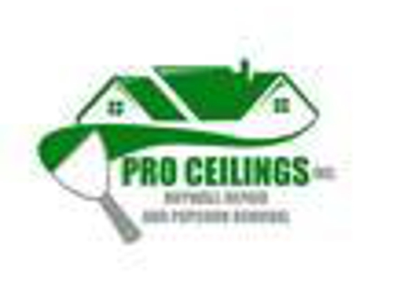 Pro Ceilings and Drywall Texture Repair, Inc. - Port Richey, FL