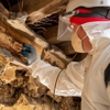 Catseye Pest Control gallery