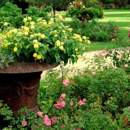 SILK ROUTE LANDSCAPING - Landscaping & Lawn Services