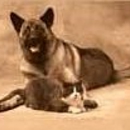 A Pet Sitter Plus - Pet Services