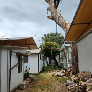 Mojo Tree And Stump Removal - Cowes, VIC