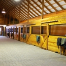 Breezee Hill Farm - Horse Breeders