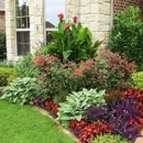 Terrascapes