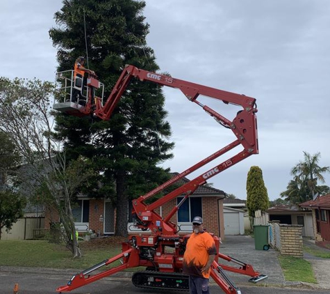Stump Grinding Central Coast and Tree Service Pty Ltd - Umina Beach, NSW