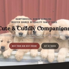 Cute & Cuddly Companions