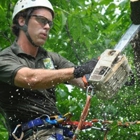 WoodChuck Tree Care
