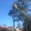 Southern Tree Surgery - Tree Service