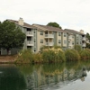 Spring House Apartments gallery