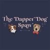 The Dapper Dog Spaw gallery