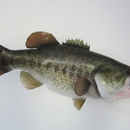 Stuff n' Fish Taxidermy - Taxidermists