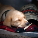 Kylers Field & Marsh kennels - Kennels